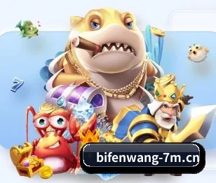 比分网的故事 - 体育资讯内容服务